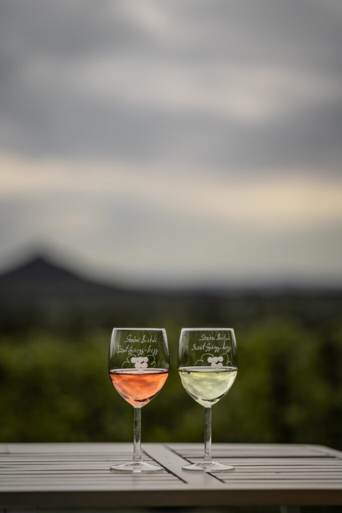 Wino nad Balatonem
