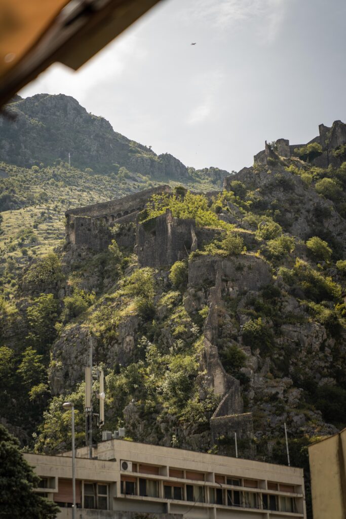 Kotor