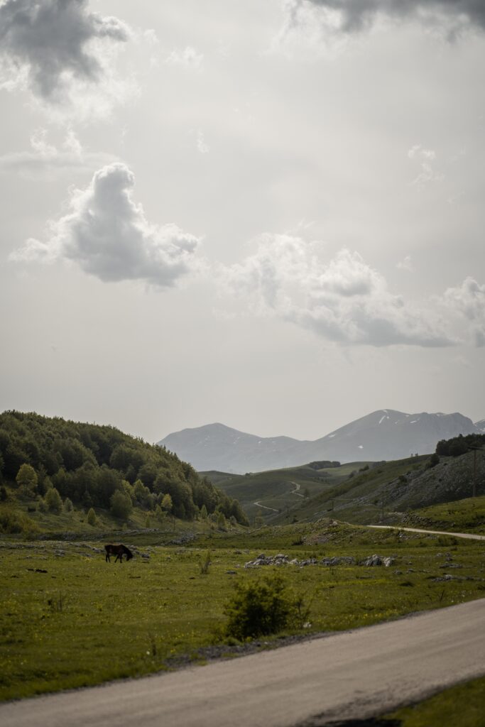 Durmitor