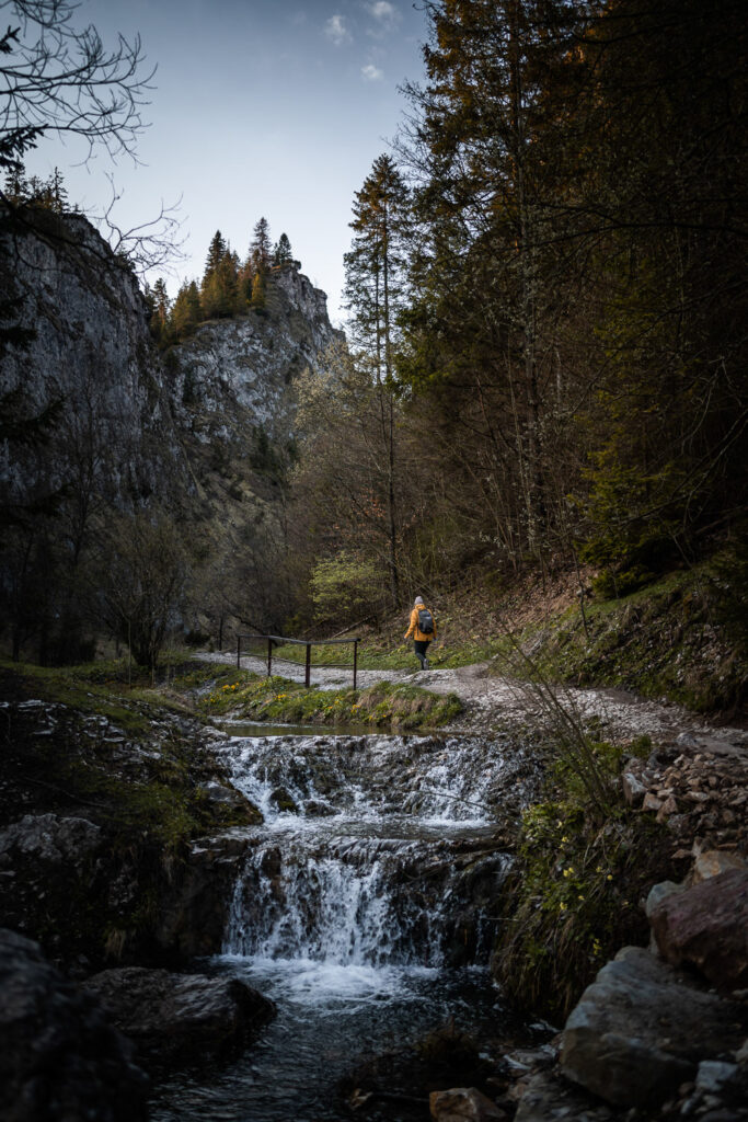 Wąwóz Homole, Pieniny