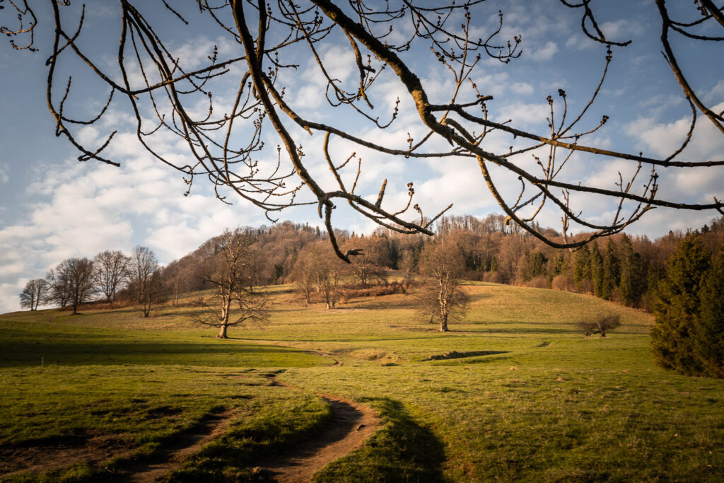 Polana pod Wysoką, Pieniny