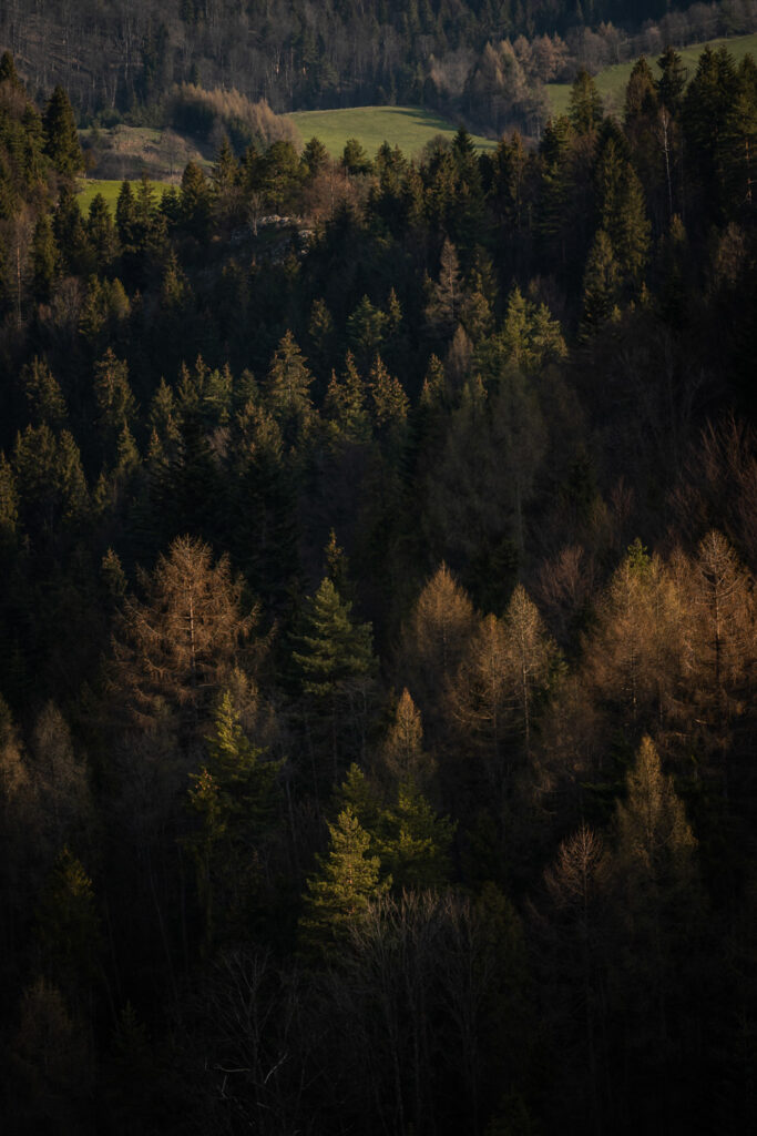 Pieniny
