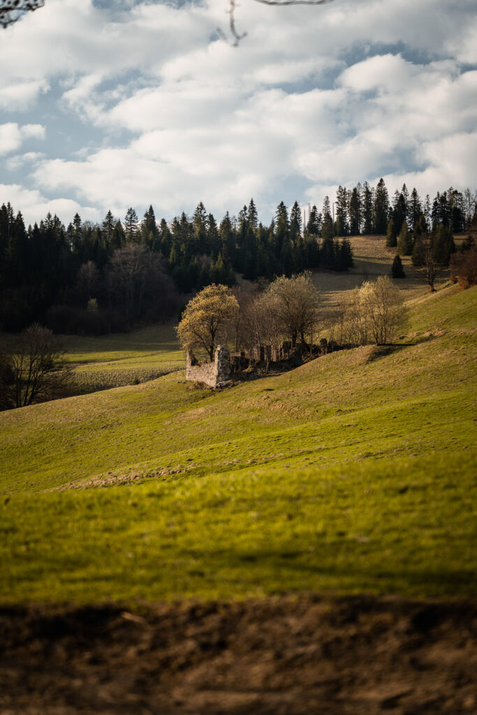 Pieniny