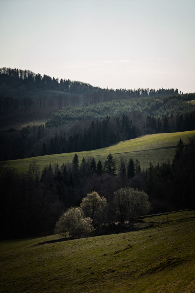Pieniny