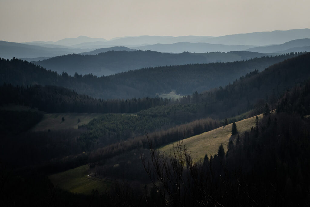 Pieniny