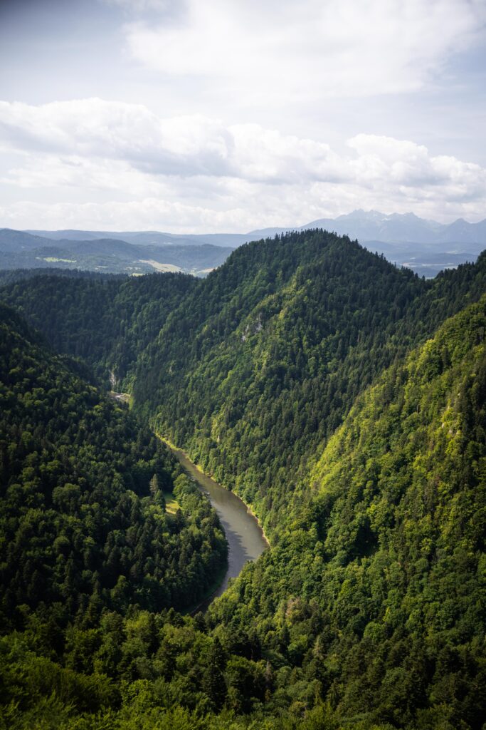 Dunajec z Sokolicy