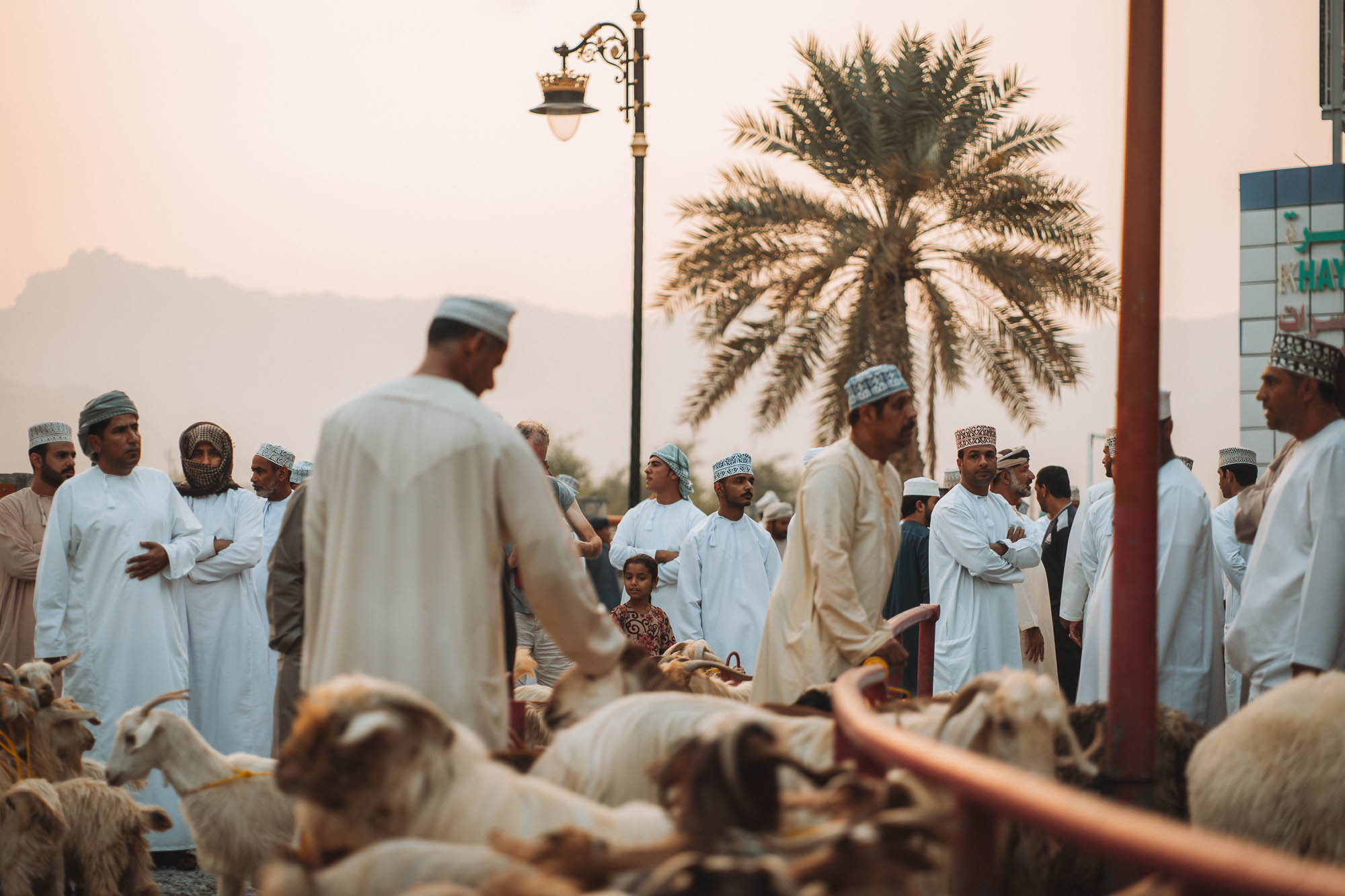 kozi targ w Nizwie, Oman