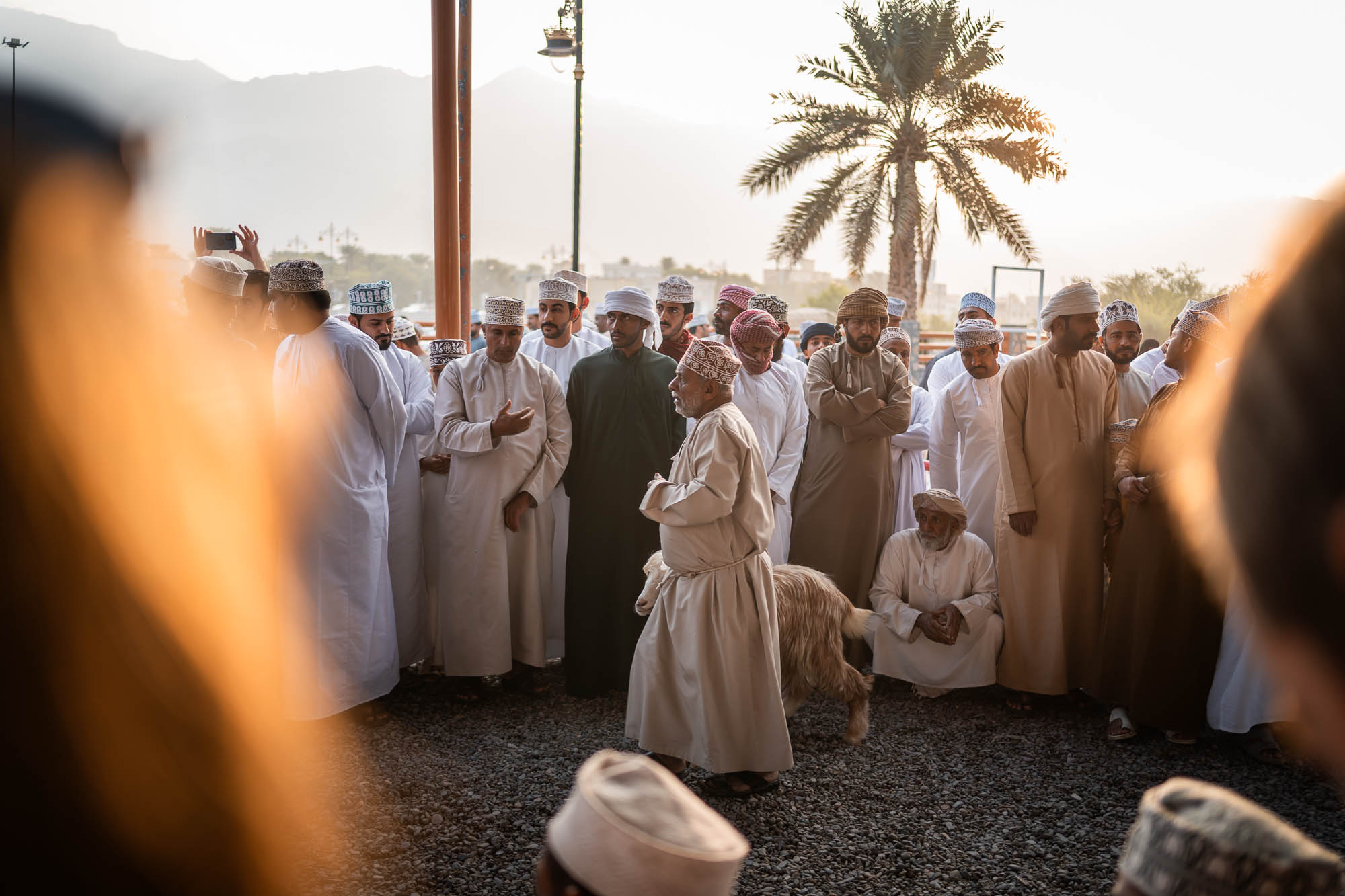 kozi targ w Nizwie, Oman